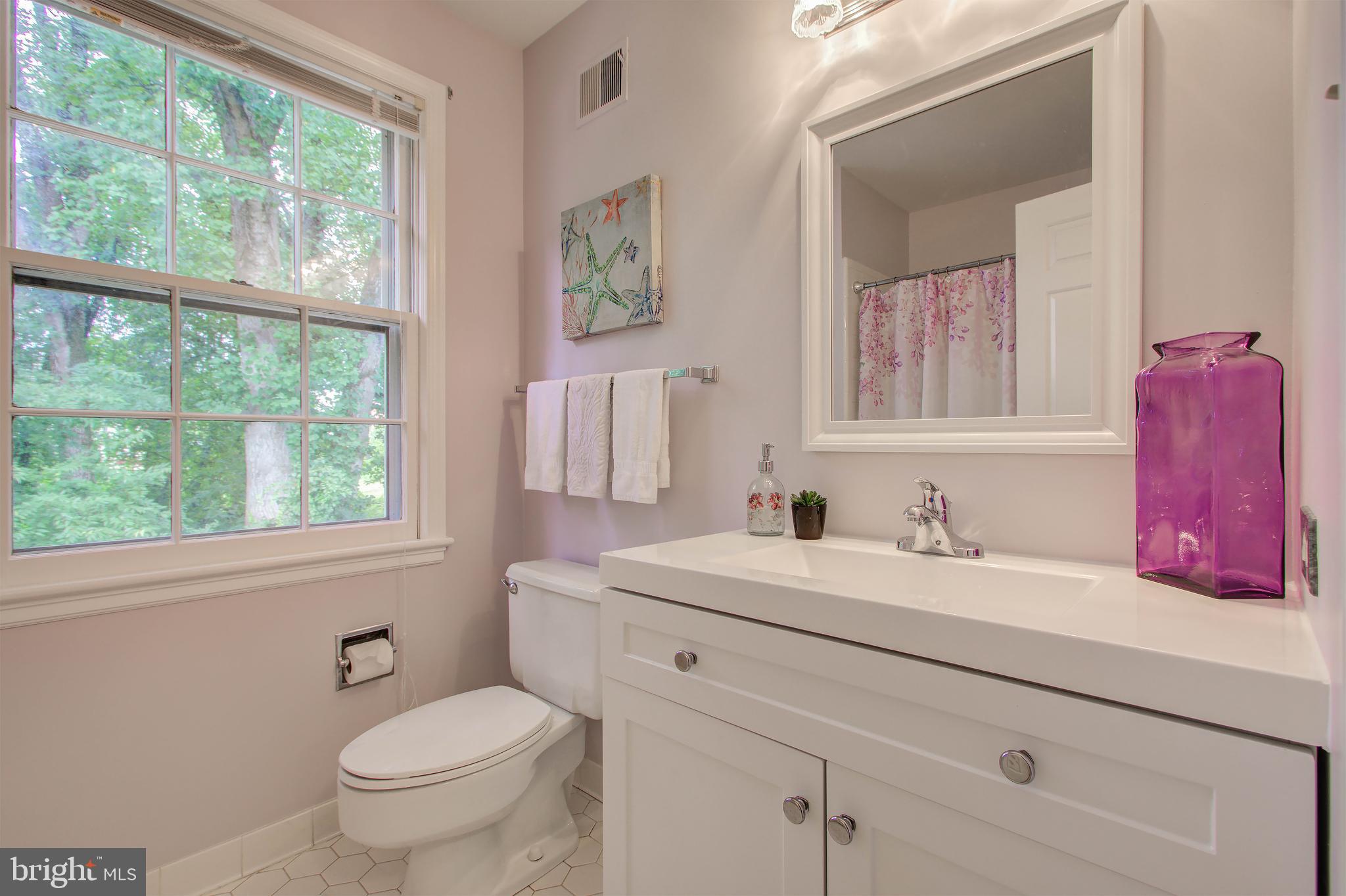 9706 Spring Ridge Lane Vienna, VA 22182 - Photo 28 of 44 Hall bath #2
