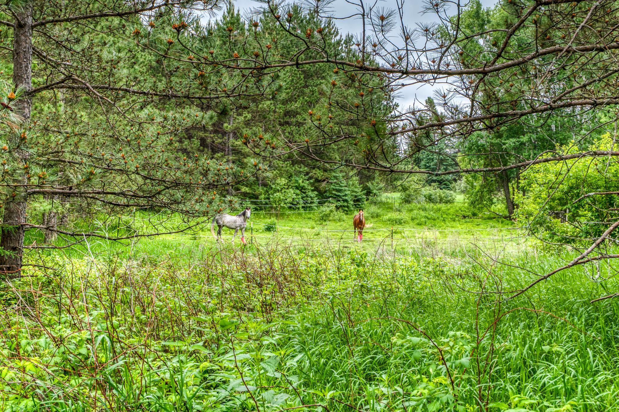 24058 County 2 Shevlin, MN 56676 - Photo 59 of 90