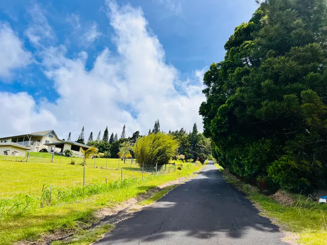 a view of a swimming pool with a yard