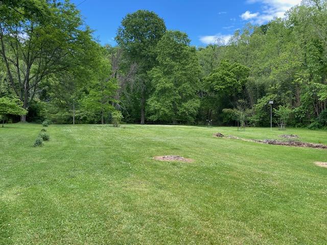 6910 Brookview Road Roanoke, VA 24019 - Photo 16 of 16 IMG_5775