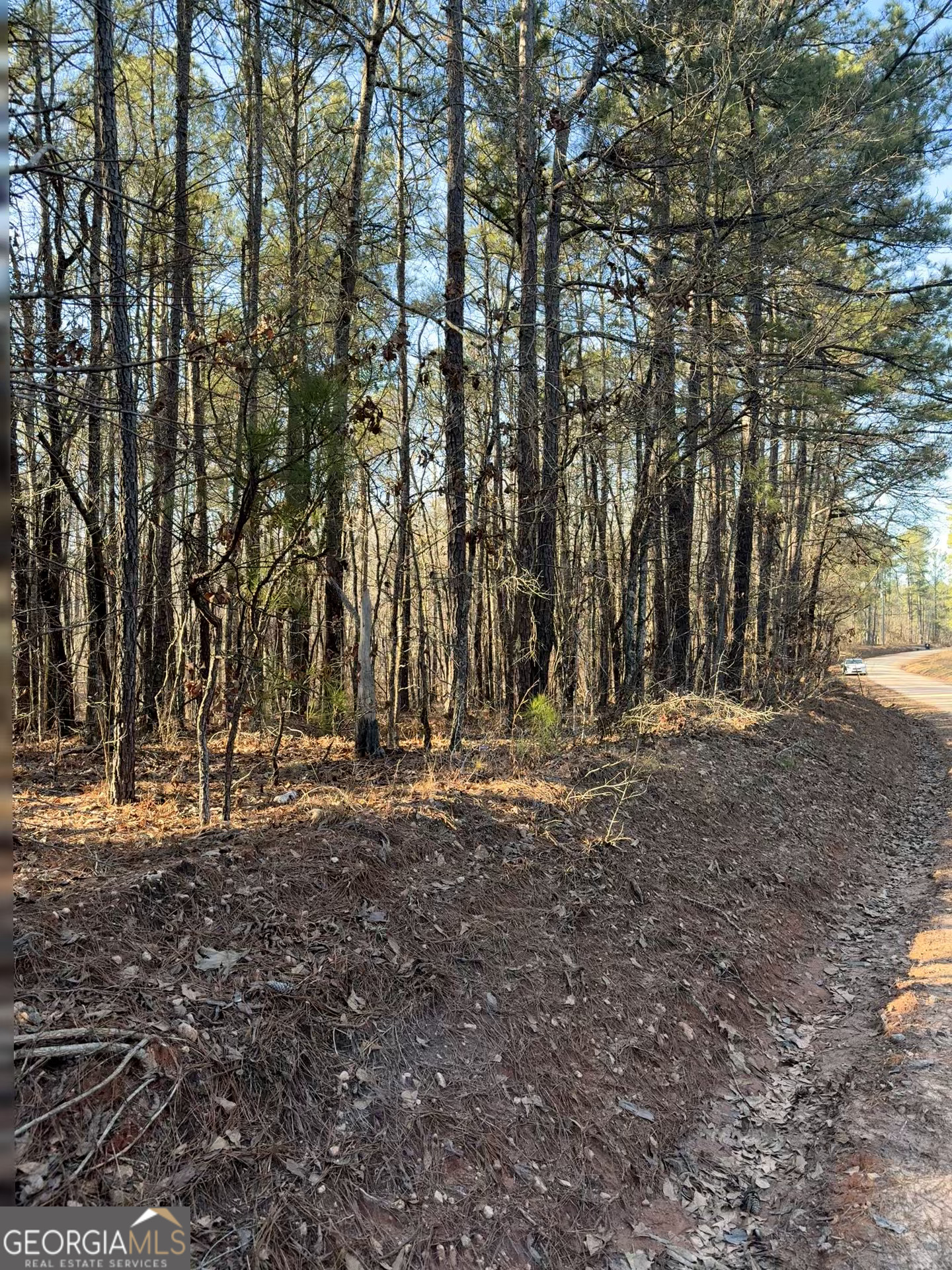 Lot 7 Beach Road Greenville, GA 30222 - Photo 1 of 1 Gallery Image 1