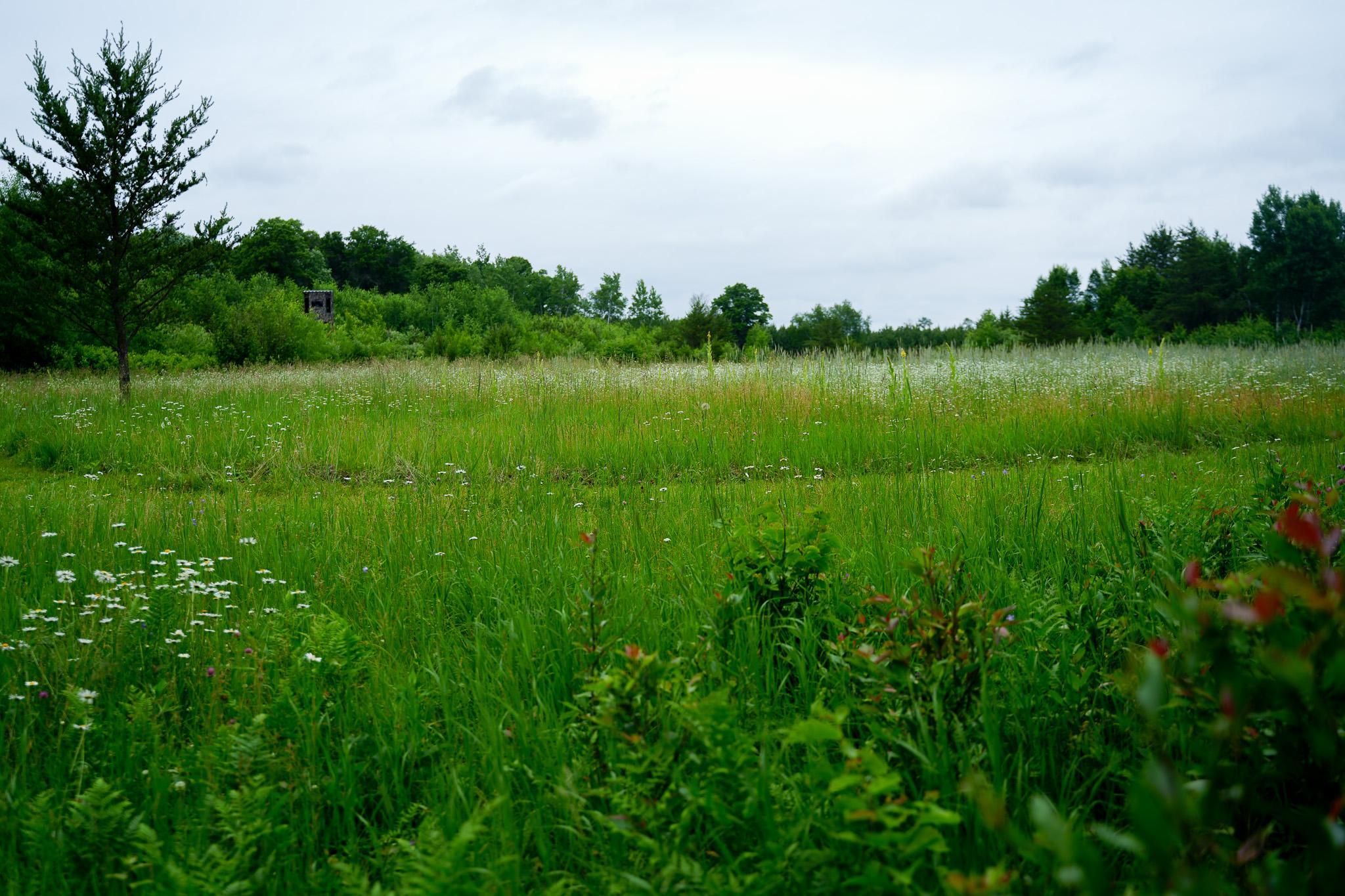 25820 County Road 26 Sebeka, MN 56477 - Photo 37 of 103