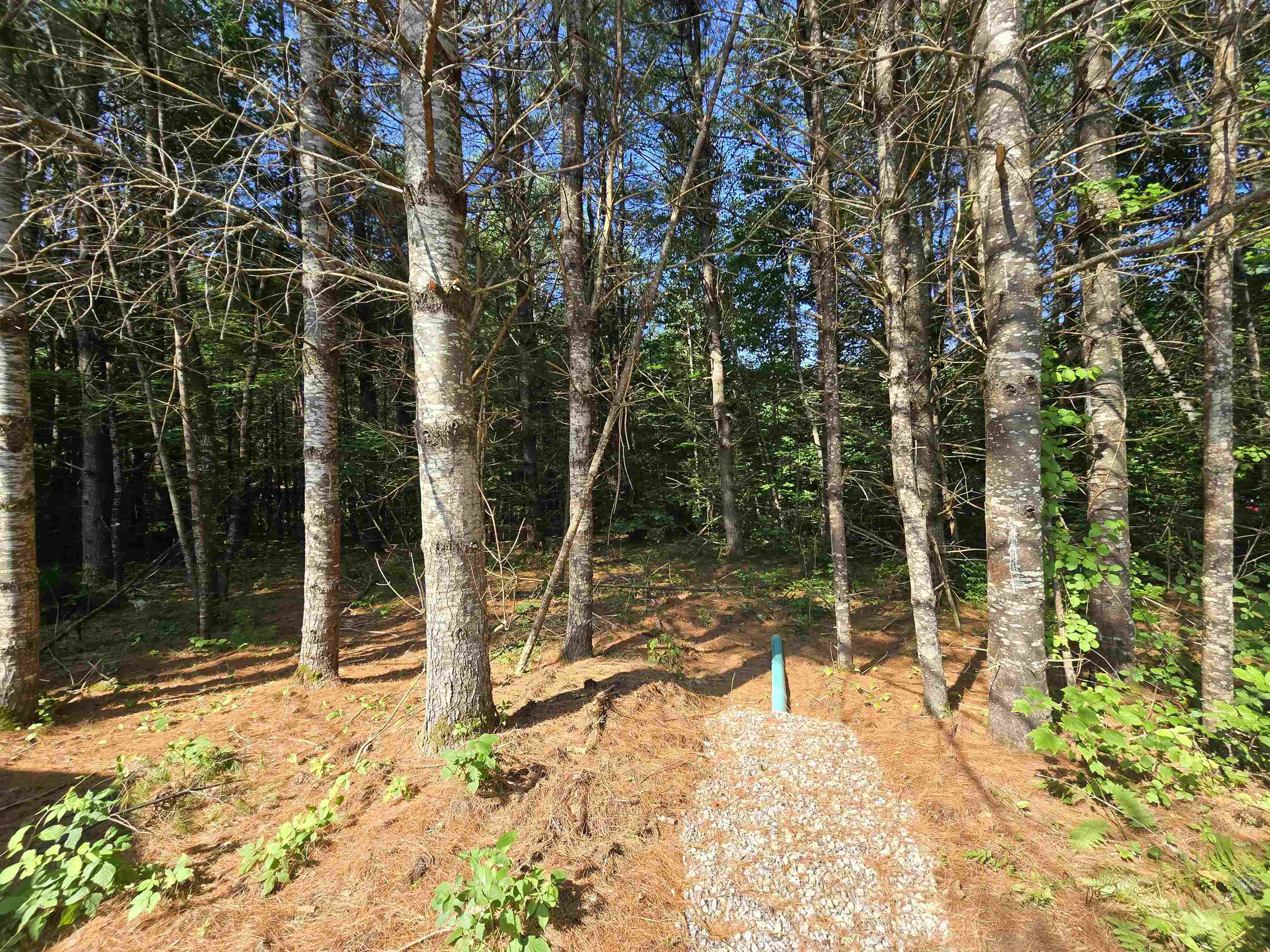 77 Trapper Road Campton, NH 03223 - Photo 15 of 47