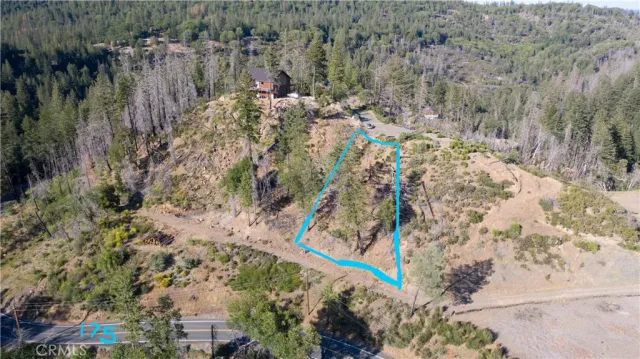 a view of a yard with trees