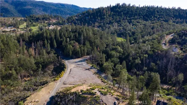 a view of a lush green forest