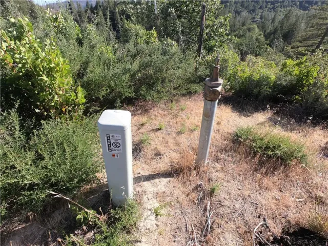 a view of a yard with a tree