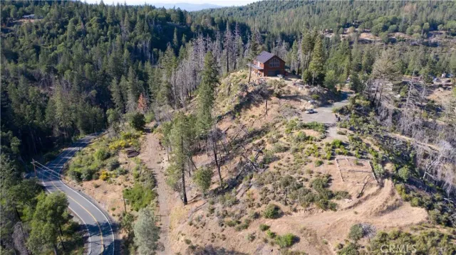 a view of a lake with large trees