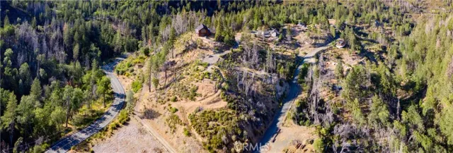 a view of a garden with plants
