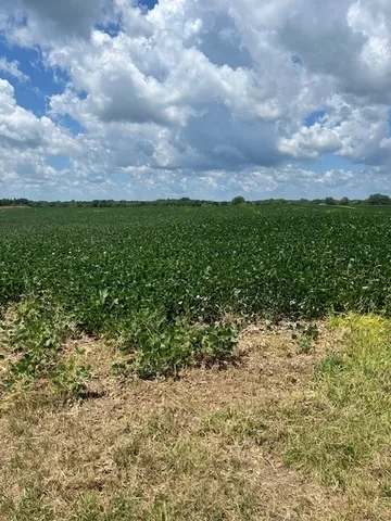 $380,400 | 2000 County Road, Varna, IL 61375