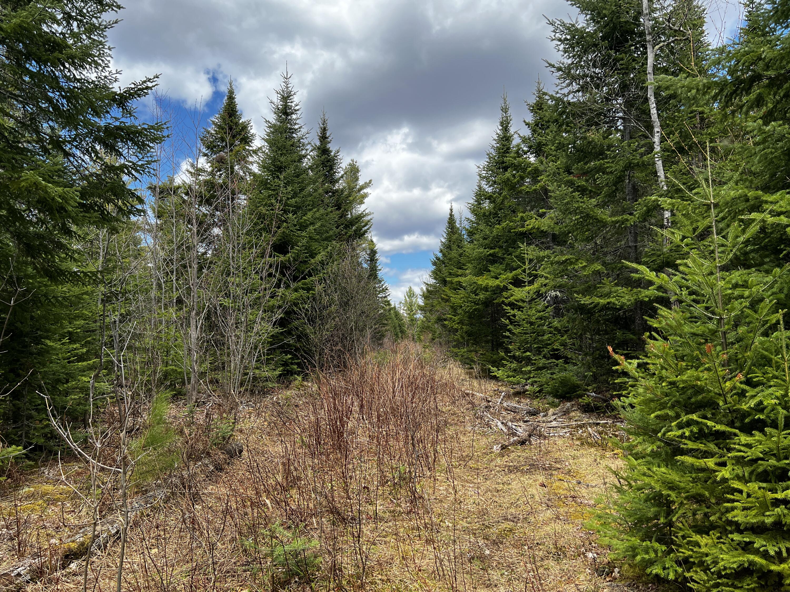 Lot 2-18 Shin Pond Rd Mount Mount Chase, ME 04765 - Photo 13 of 59
