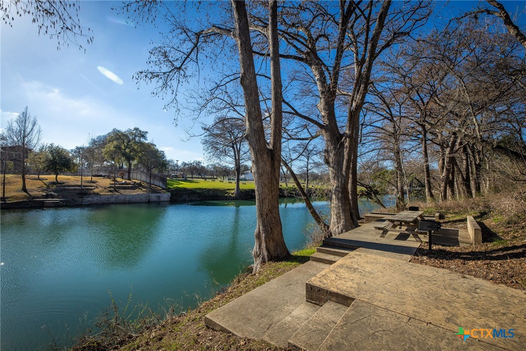 1247 Gruene Road, Unit 302 New Braunfels, TX 78130 - Photo 12 of 33