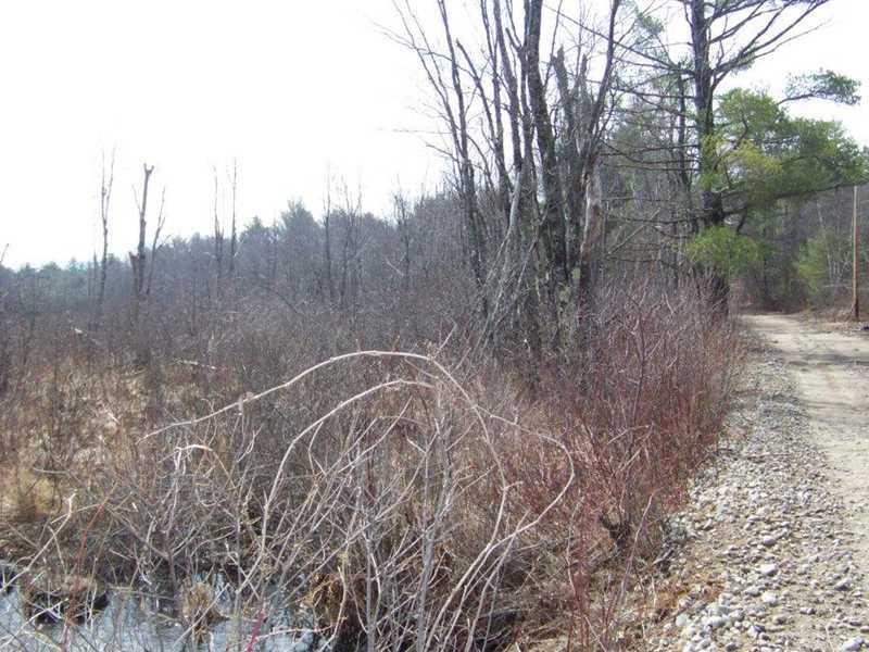 Lot 5 Lewis Hill Road West Newfield, ME 04095 - Photo 5 of 12 Land/Lot.
