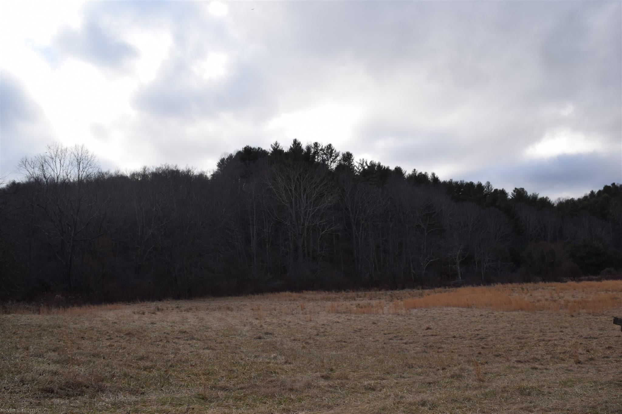Tbd Alum Ridge Road Northwest Floyd, VA 24091 - Photo 2 of 18 Gallery Image 2
