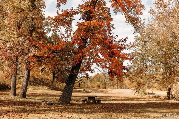 $1 | 3425 Highway Jj Williamsville Mo 63967, Williamsville, MO 63967