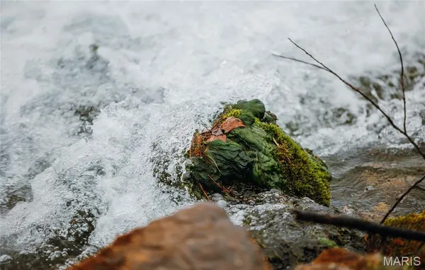 $1 | 3425 Highway Jj Williamsville Mo 63967, Williamsville, MO 63967