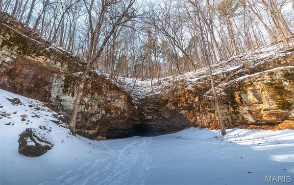 $1 | 3425 Highway Jj Williamsville Mo 63967, Williamsville, MO 63967