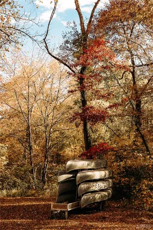 $1 | 3425 Highway Jj Williamsville Mo 63967, Williamsville, MO 63967