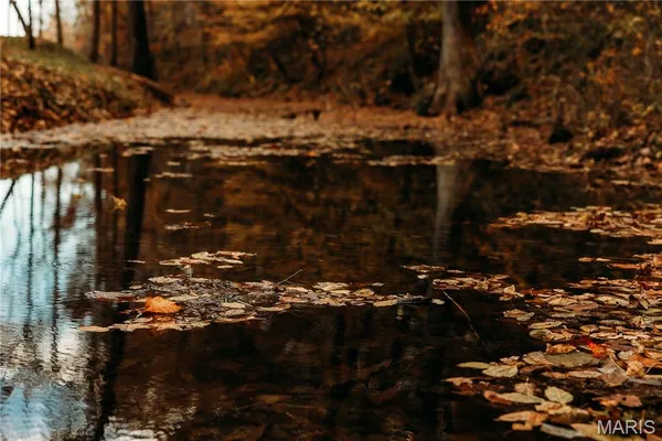 $1 | 3425 Highway Jj Williamsville Mo 63967, Williamsville, MO 63967