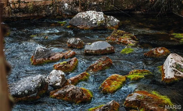 $1 | 3425 Highway Jj Williamsville Mo 63967, Williamsville, MO 63967