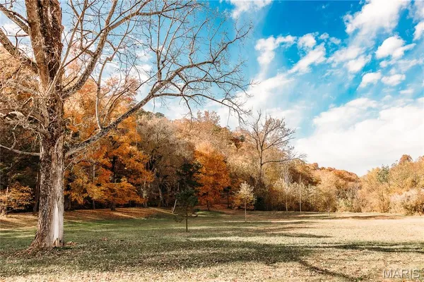 $1 | 3425 Highway Jj Williamsville Mo 63967, Williamsville, MO 63967