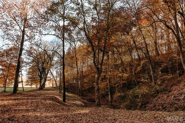 $1 | 3425 Highway Jj Williamsville Mo 63967, Williamsville, MO 63967