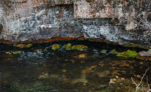 $1 | 3425 Highway Jj Williamsville Mo 63967, Williamsville, MO 63967