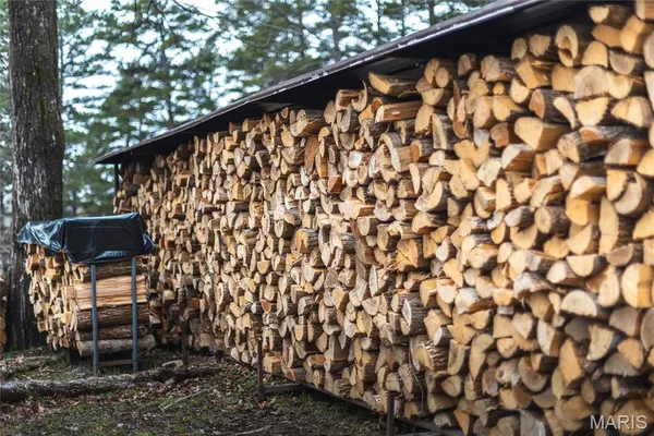 $1 | 3425 Highway Jj Williamsville Mo 63967, Williamsville, MO 63967