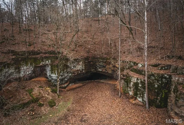 $1 | 3425 Highway Jj Williamsville Mo 63967, Williamsville, MO 63967