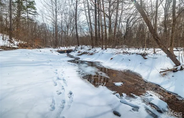 $1 | 3425 Highway Jj Williamsville Mo 63967, Williamsville, MO 63967