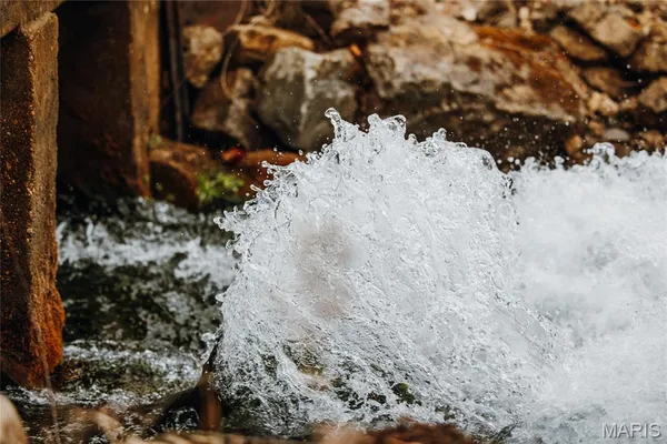 $1 | 3425 Highway Jj Williamsville Mo 63967, Williamsville, MO 63967