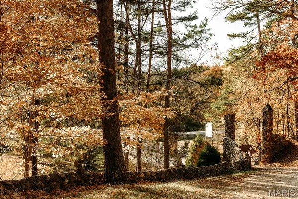 $1 | 3425 Highway Jj Williamsville Mo 63967, Williamsville, MO 63967