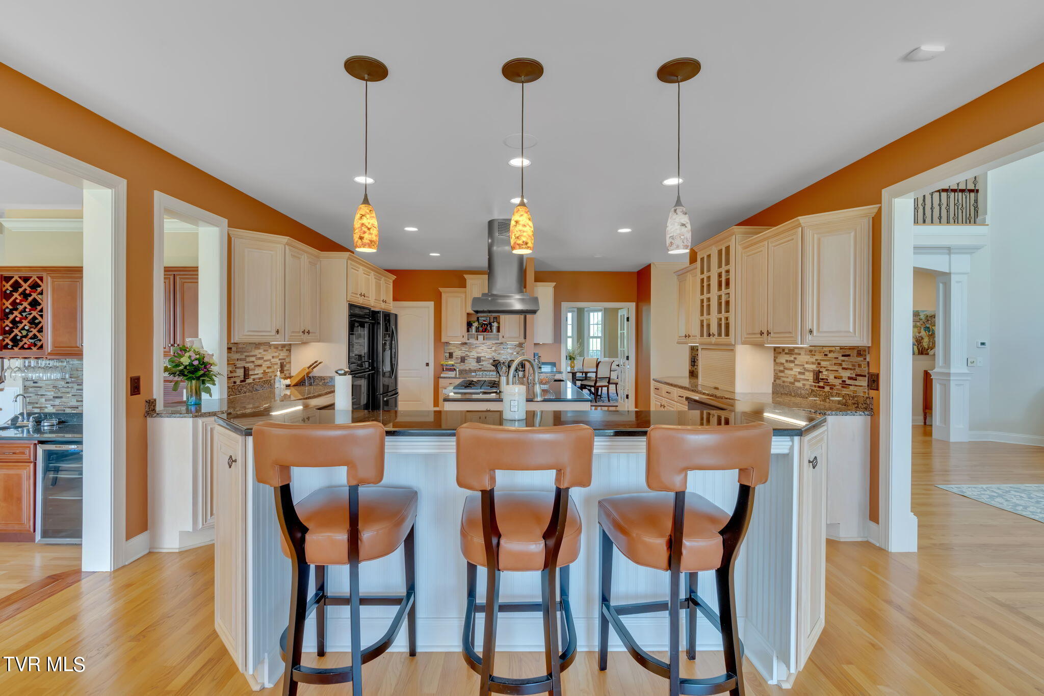 113 Chestnut Ridge Drive Jonesborough, TN 37659 - Photo 20 of 88 Kitchen