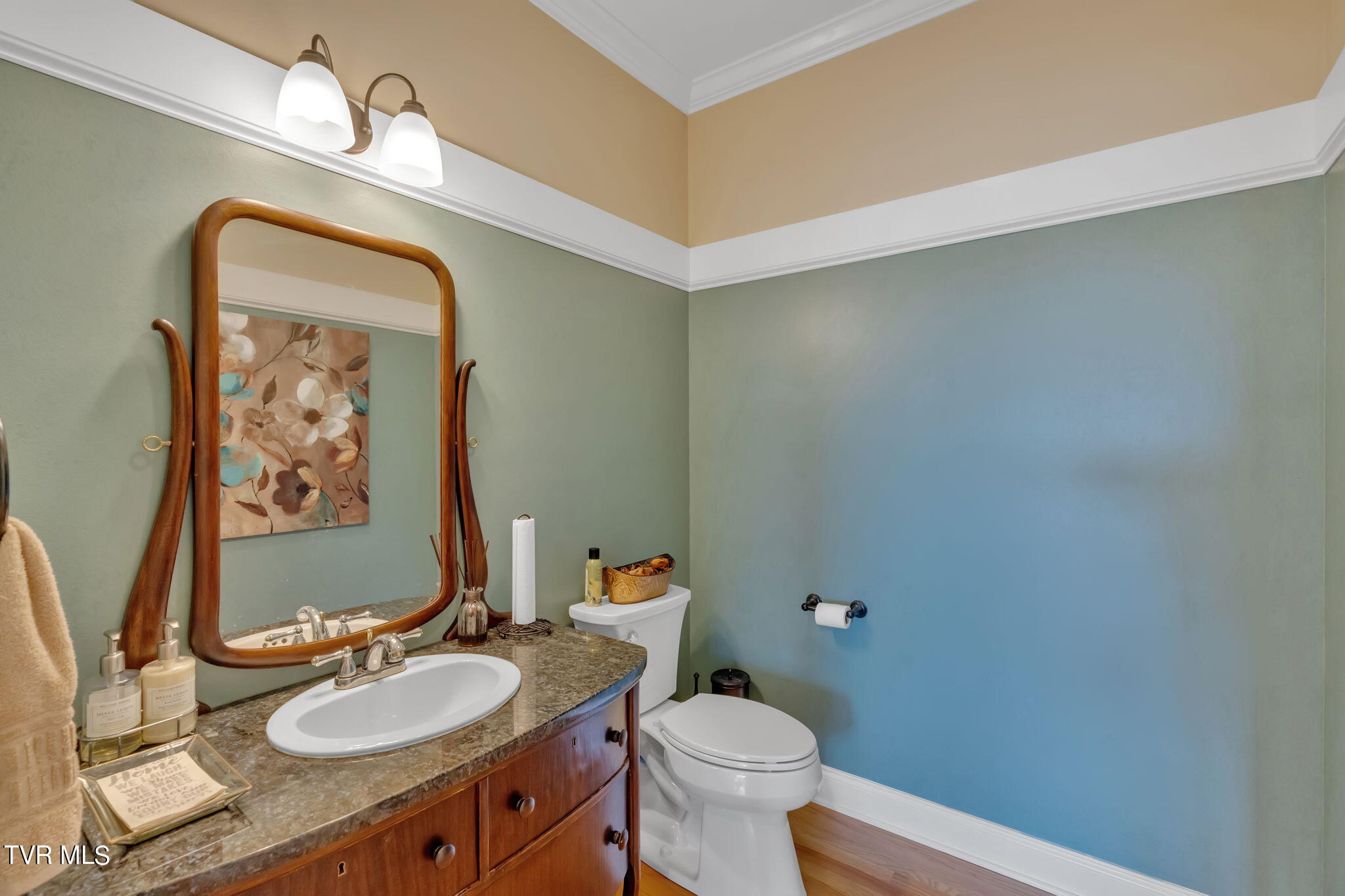 113 Chestnut Ridge Drive Jonesborough, TN 37659 - Photo 29 of 88 Powder Room