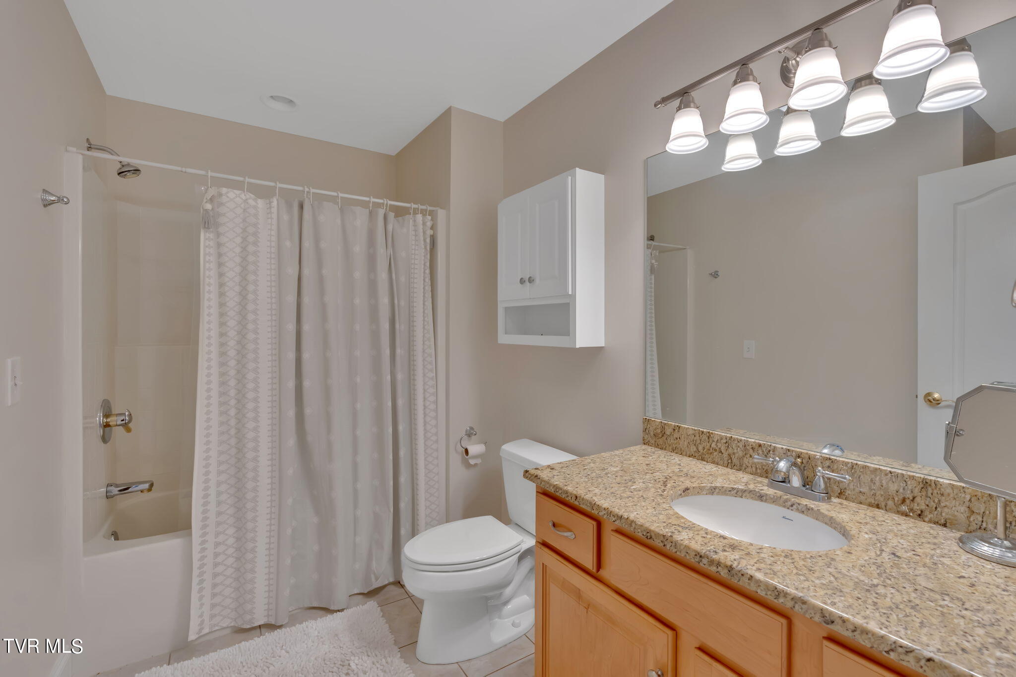 113 Chestnut Ridge Drive Jonesborough, TN 37659 - Photo 42 of 88 Bath
