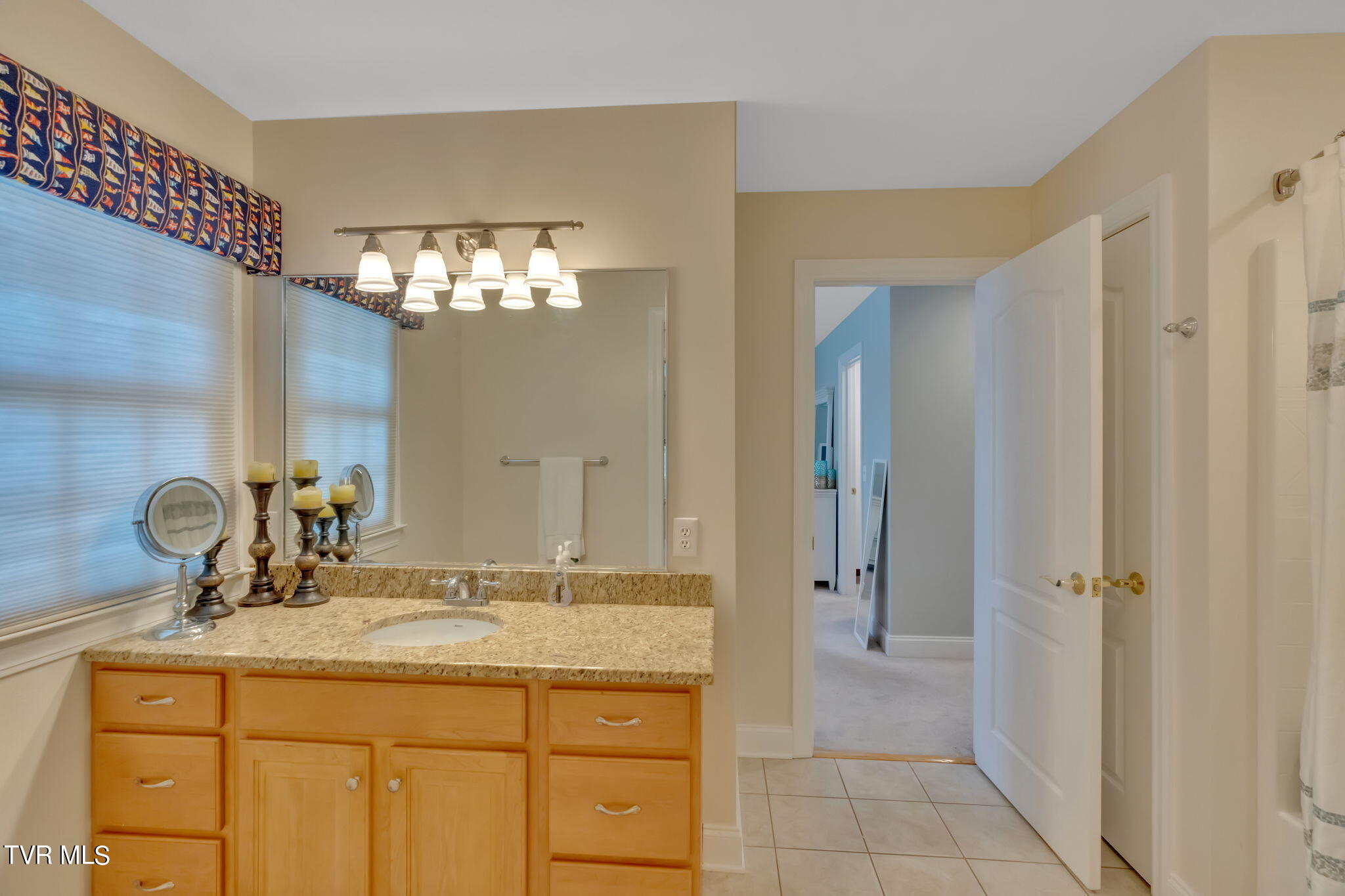 113 Chestnut Ridge Drive Jonesborough, TN 37659 - Photo 48 of 88 Bath