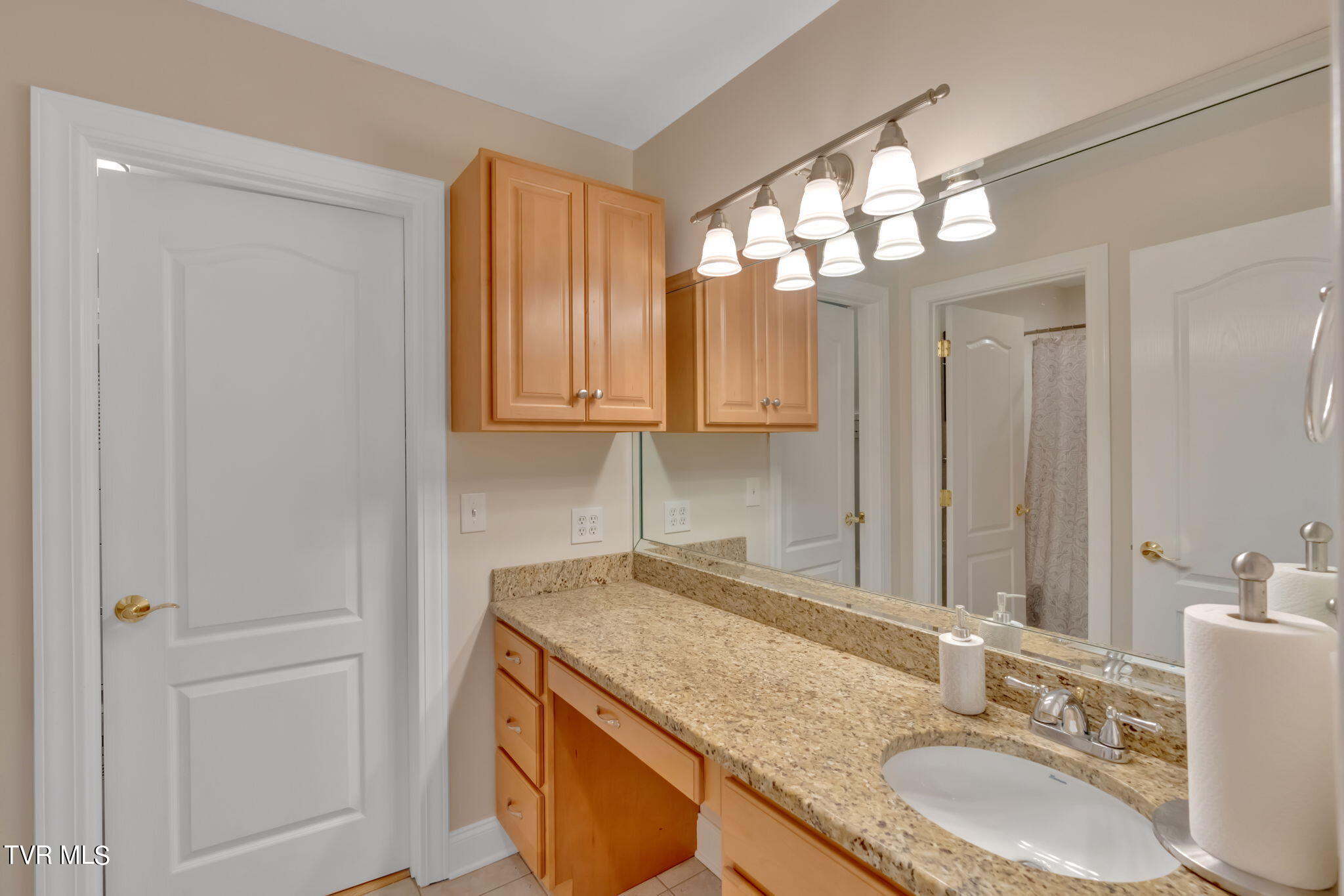 113 Chestnut Ridge Drive Jonesborough, TN 37659 - Photo 55 of 88 Bath