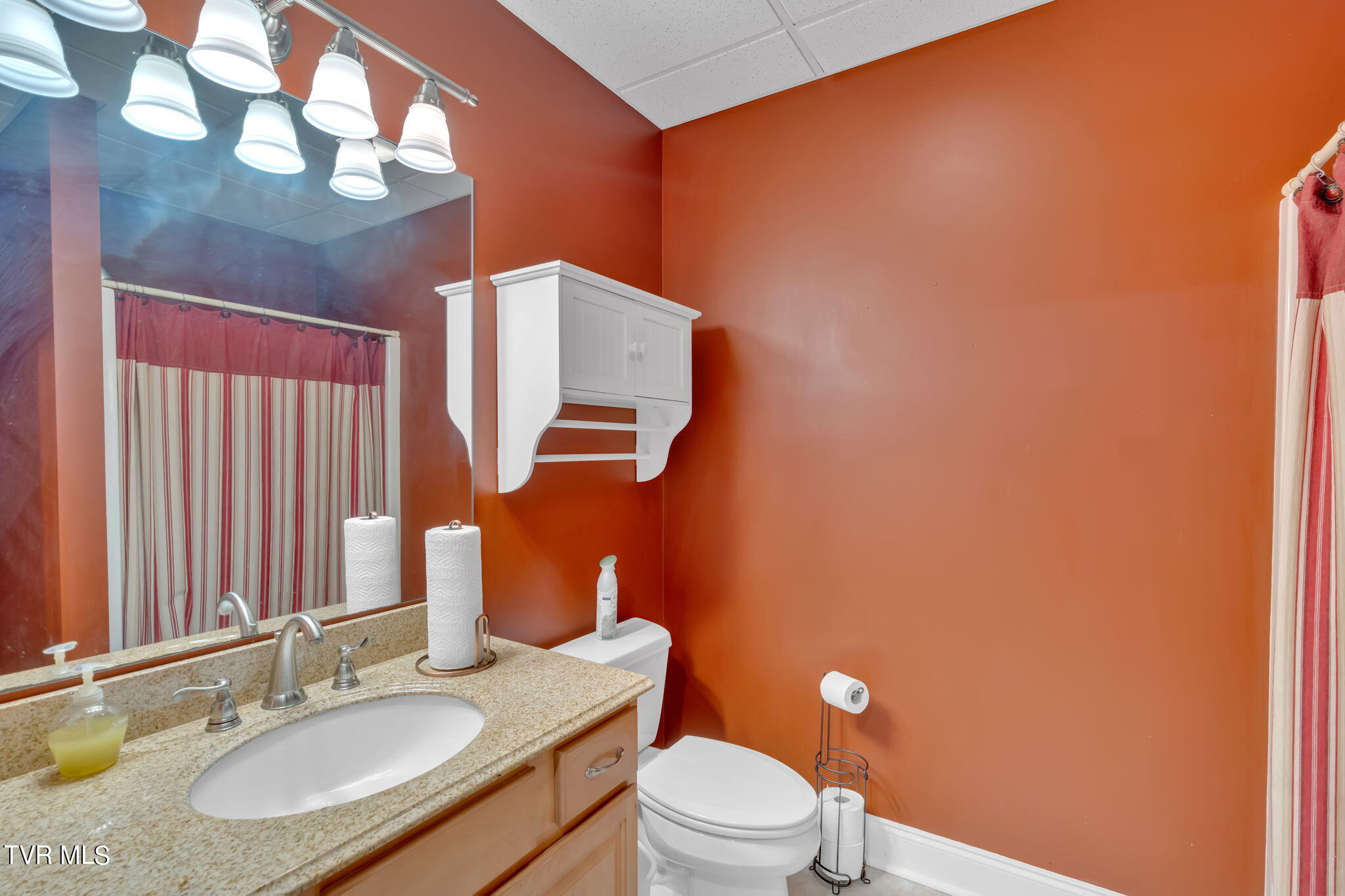 113 Chestnut Ridge Drive Jonesborough, TN 37659 - Photo 66 of 88 Basement Bathroom