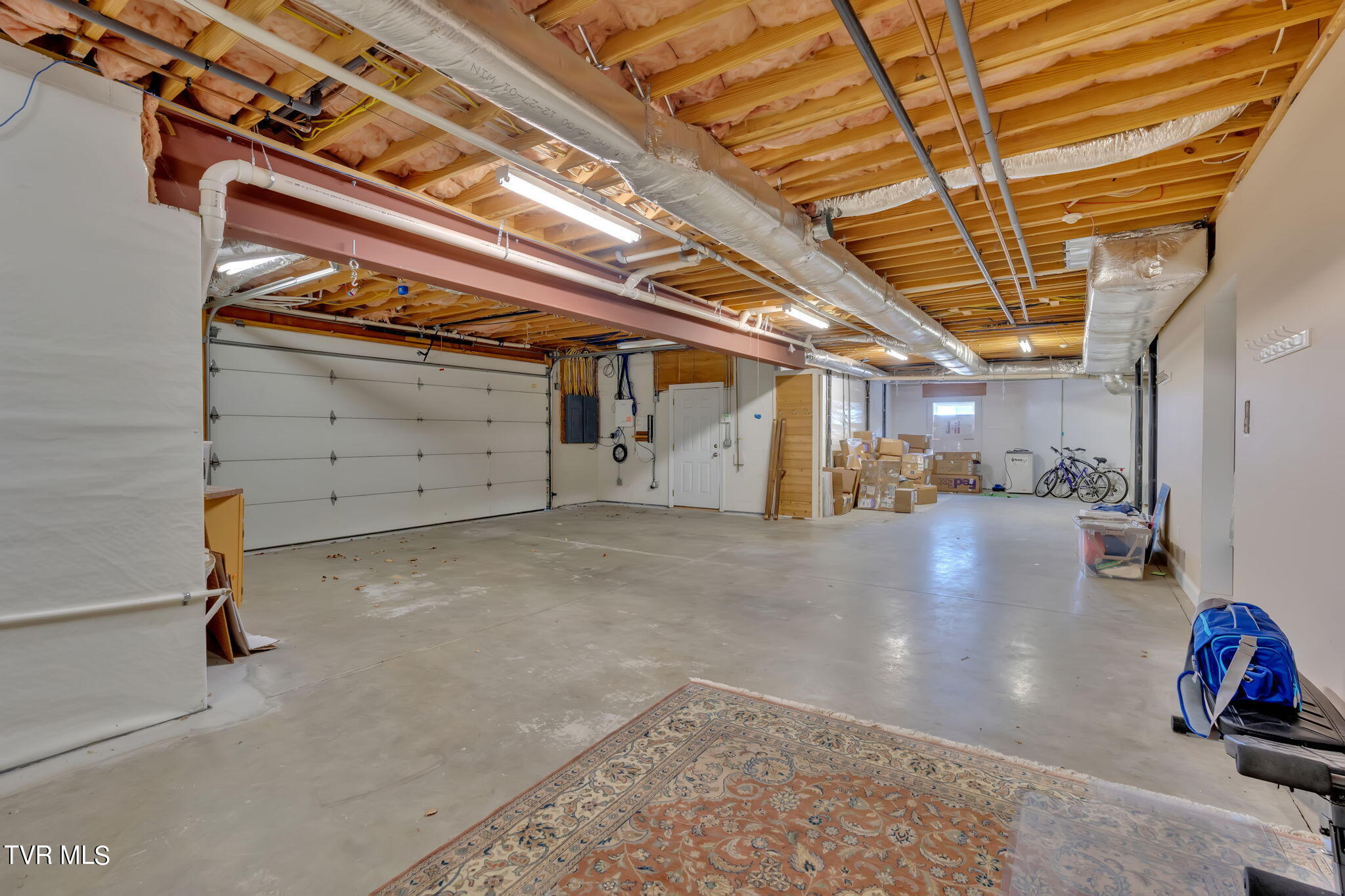 113 Chestnut Ridge Drive Jonesborough, TN 37659 - Photo 67 of 88 Basement Garage