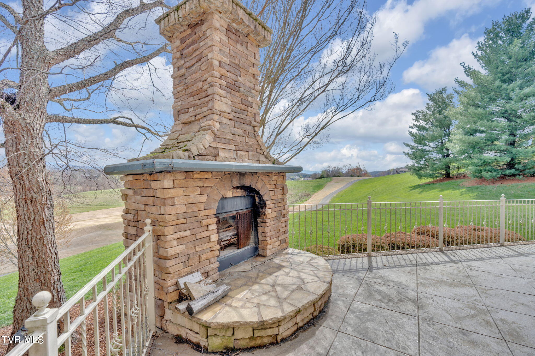 113 Chestnut Ridge Drive Jonesborough, TN 37659 - Photo 8 of 88 Outdoor Fireplace