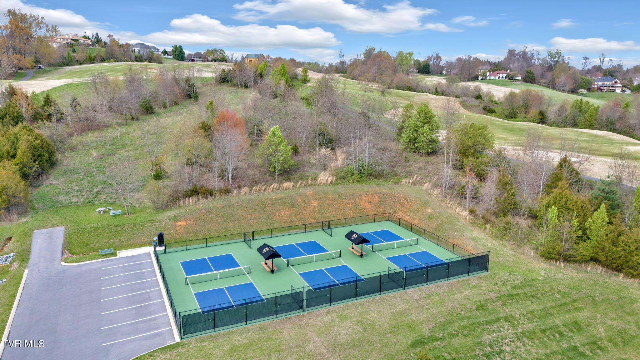 113 Chestnut Ridge Drive Jonesborough, TN 37659 - Photo 83 of 88 The Ridges