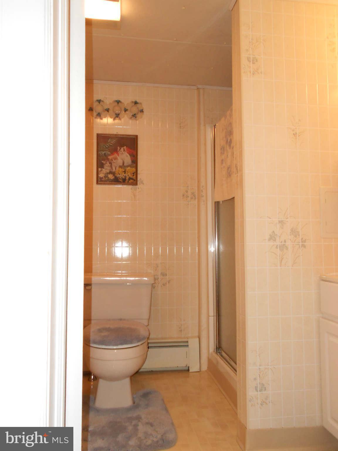 17558 Reiff Church Road Hagerstown, MD 21740 - Photo 27 of 30 Bath