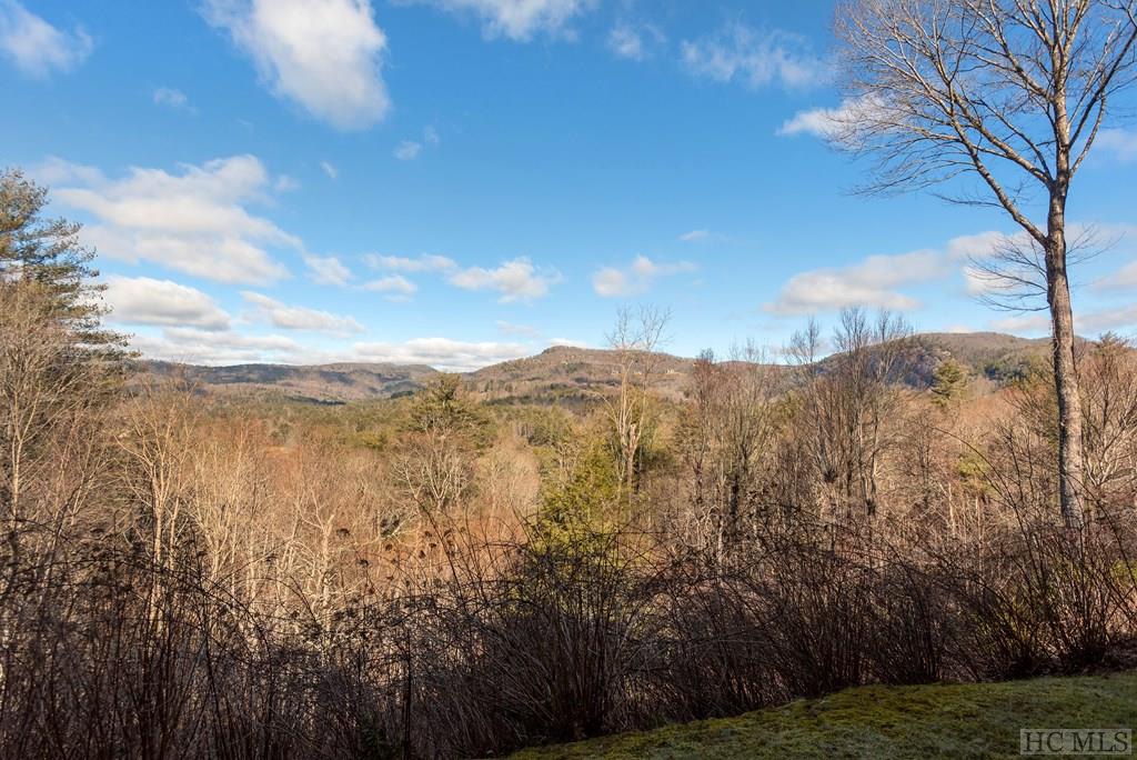 278 Golf View Road Sapphire, NC 28774 - Photo 67 of 68 Gallery Image 67