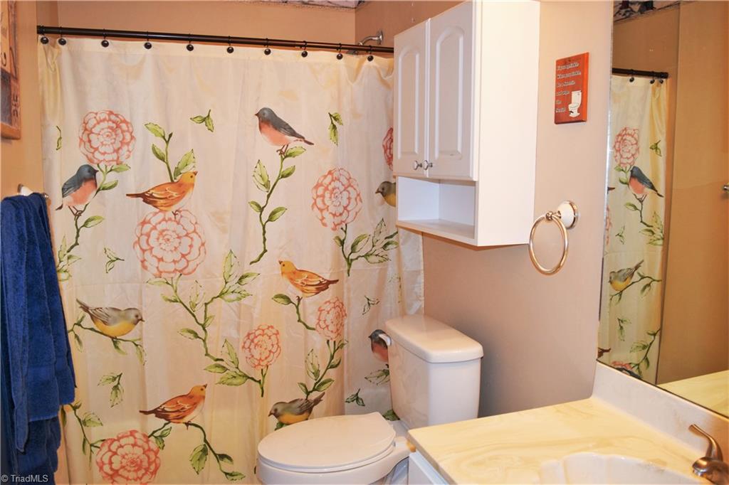 7833 Summerfield Road Summerfield, NC 27358 - Photo 15 of 30 Hall bathroom