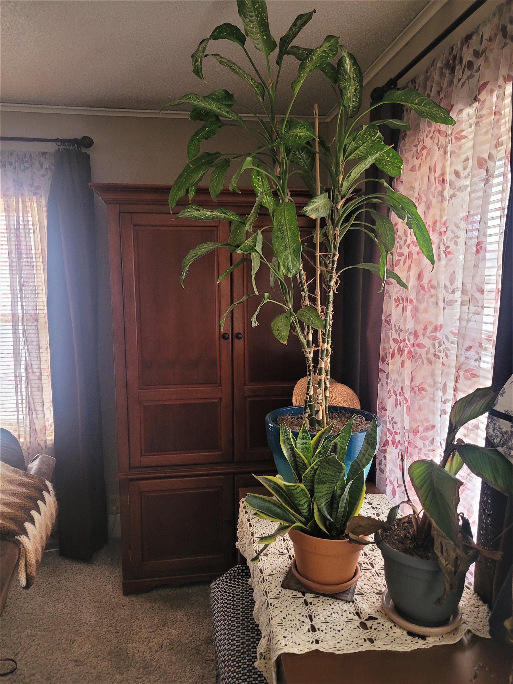 324 North Fern Street Wichita, KS 67203 - Photo 5 of 18