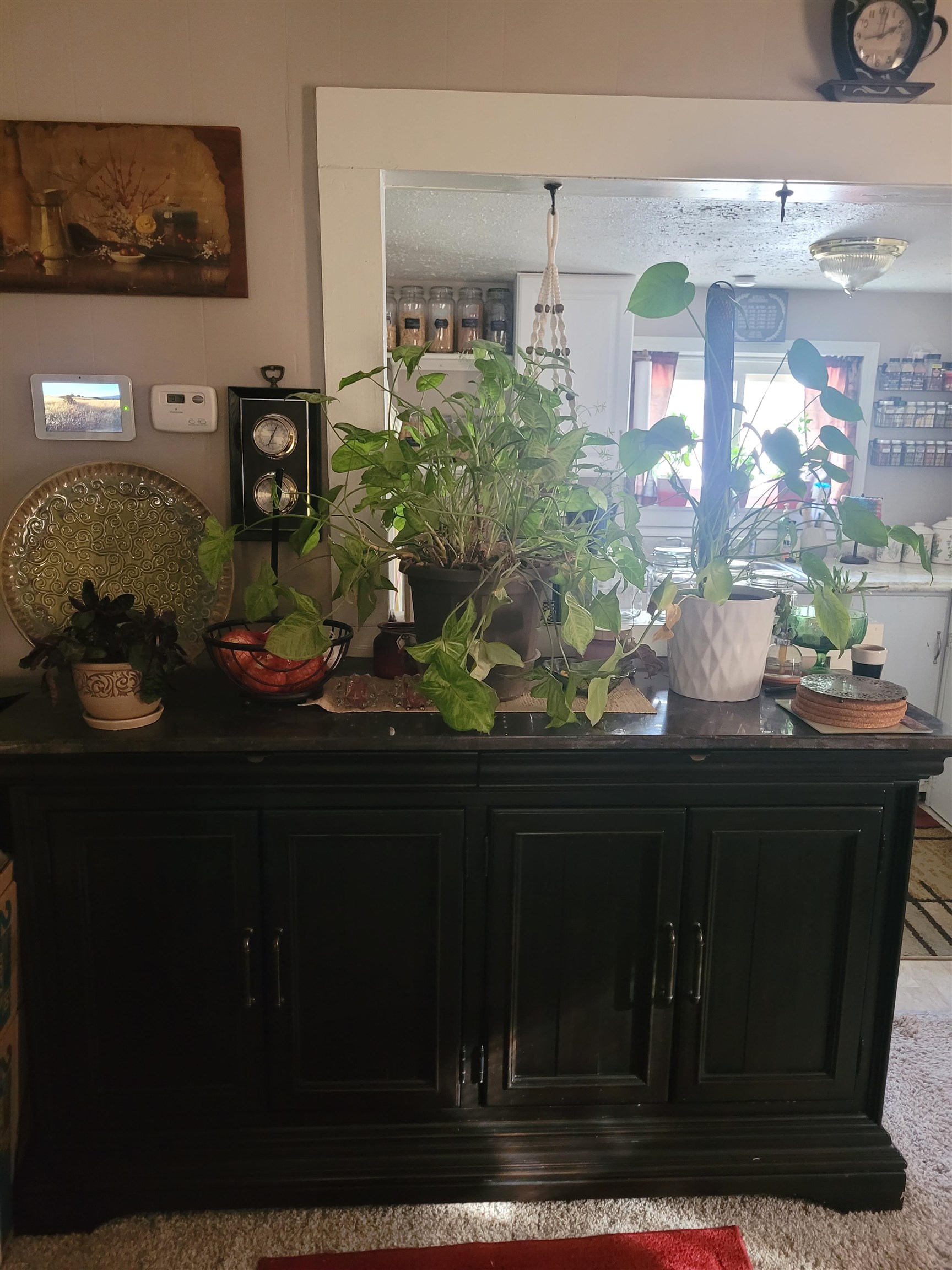 324 North Fern Street Wichita, KS 67203 - Photo 8 of 18