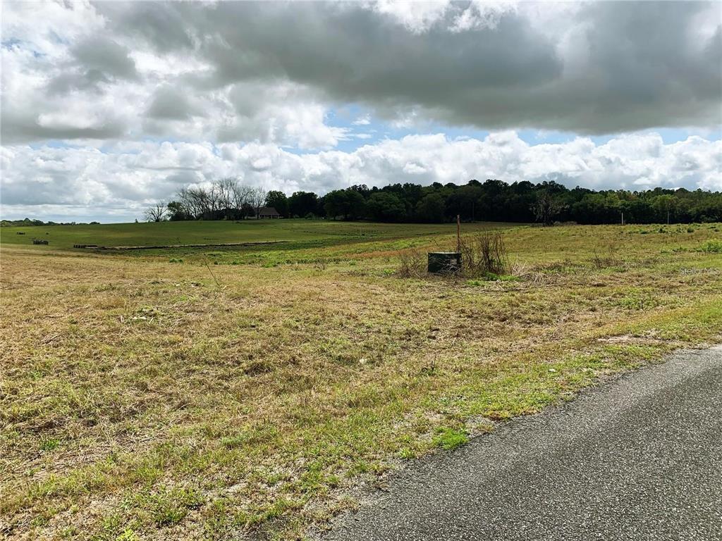 21635 Southwest 10th Street Dunnellon, FL 34431 - Photo 12 of 24