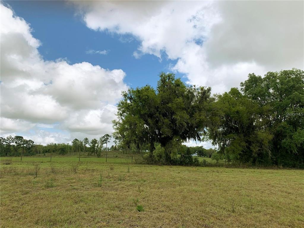 21635 Southwest 10th Street Dunnellon, FL 34431 - Photo 22 of 24