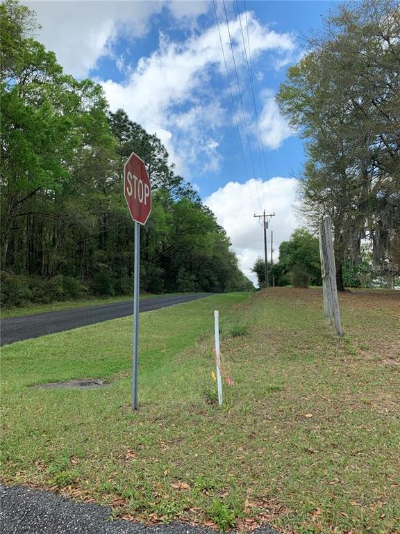 21635 Southwest 10th Street Dunnellon, FL 34431 - Photo 23 of 24 a backyard of a house with lots of green space