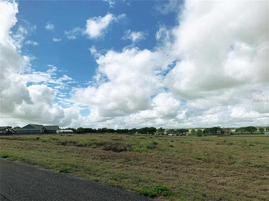 21635 Southwest 10th Street Dunnellon, FL 34431 - Photo 3 of 24 a view of a big yard