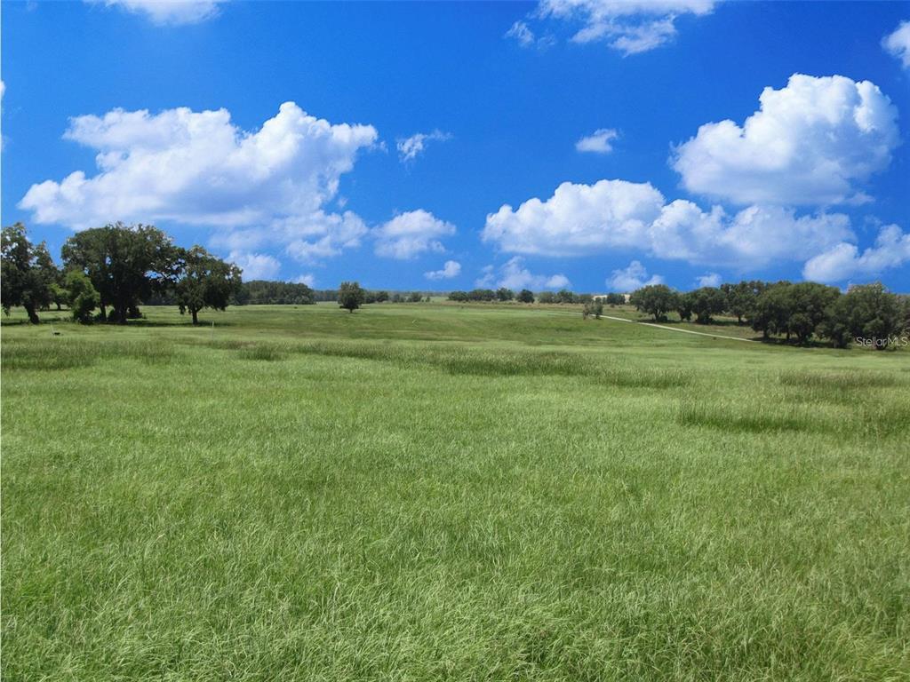 21635 Southwest 10th Street Dunnellon, FL 34431 - Photo 6 of 24 a view of a big room with a big yard